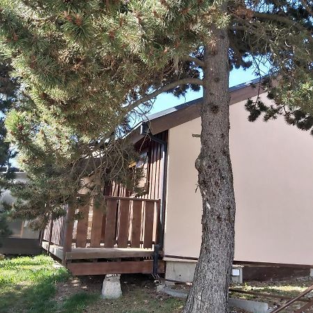 Chalet De L Ours Bolquere Pyrenees 2000 Eksteriør bilde